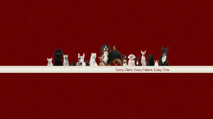 VCA Edgewood Animal Hospital 12