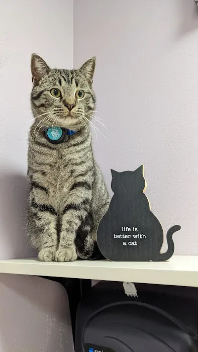 Pet Health Center of Tiffin 1