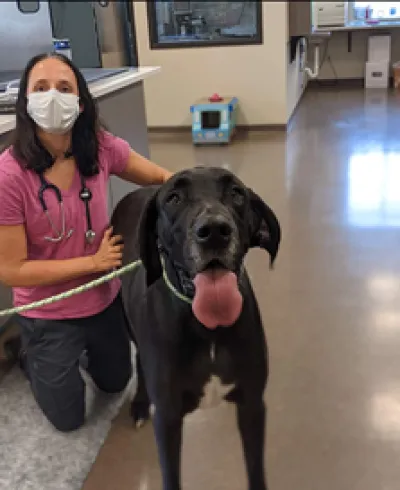 Pet Health Center of Tiffin 10