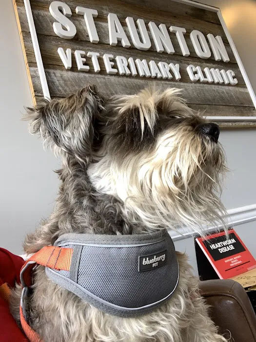 Staunton Veterinary Clinic 7