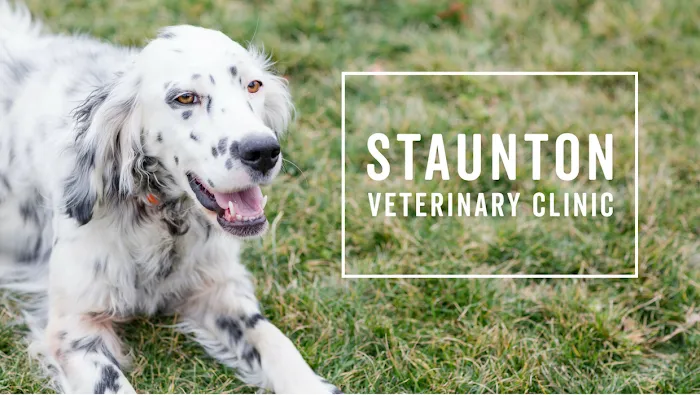 Staunton Veterinary Clinic 10