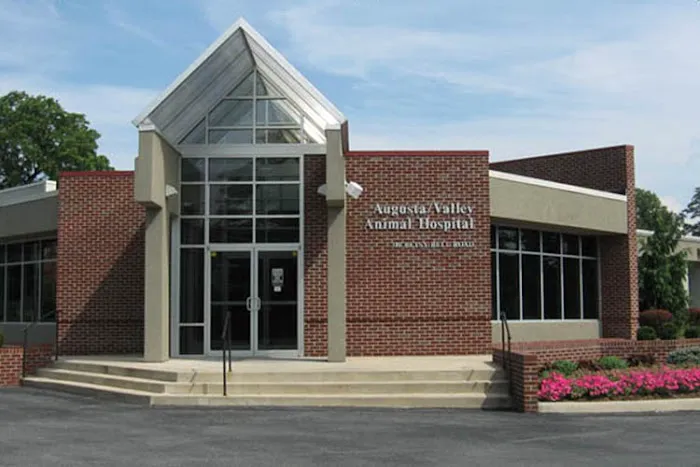 Augusta Valley Animal Hospital 12