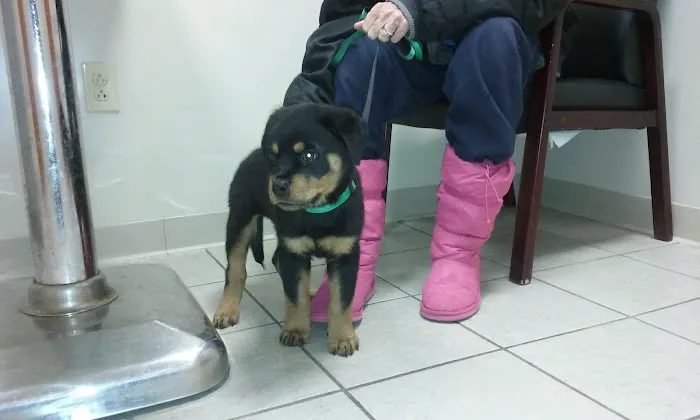 Augusta Valley Animal Hospital 12
