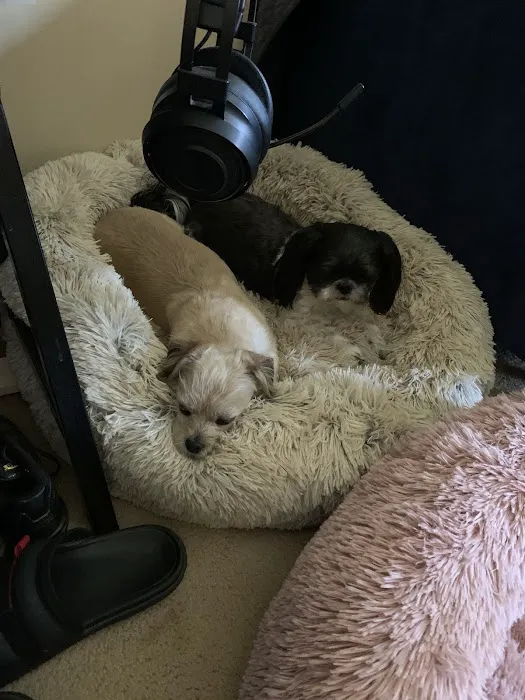 Westwood Animal Hospital 12