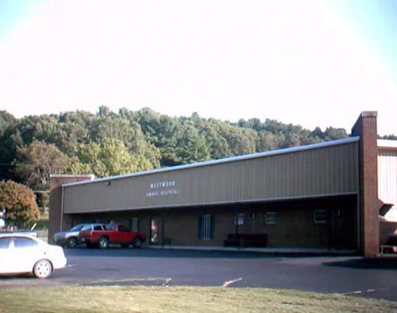 Westwood Animal Hospital 12
