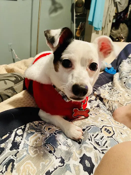 Banfield Pet Hospital 4