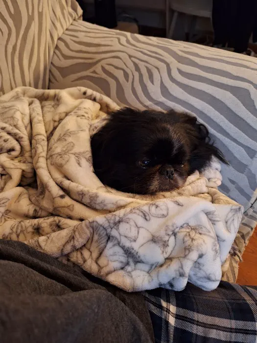 Banfield Pet Hospital 2