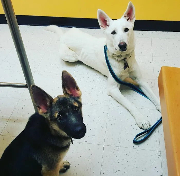 Banfield Pet Hospital 9