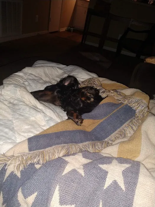 Banfield Pet Hospital 5