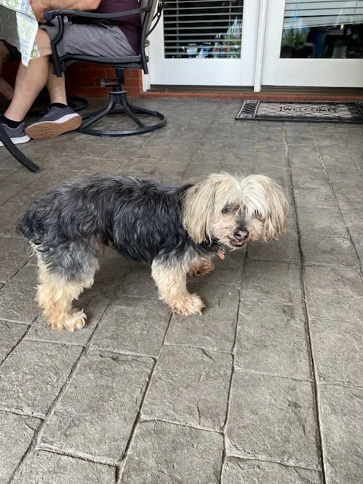 Bryan Animal Clinic 2