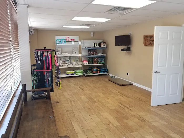 Morgan Animal Hospital 10