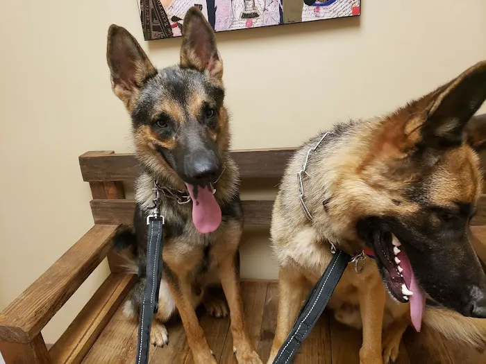 Morgan Animal Hospital 1