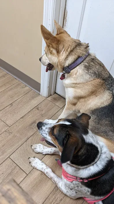 Morgan Animal Hospital 8