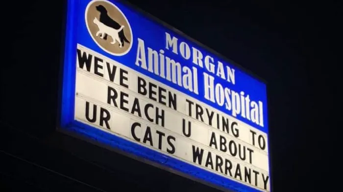 Morgan Animal Hospital 9