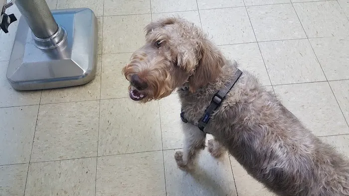 Pearson Animal Hospital 4