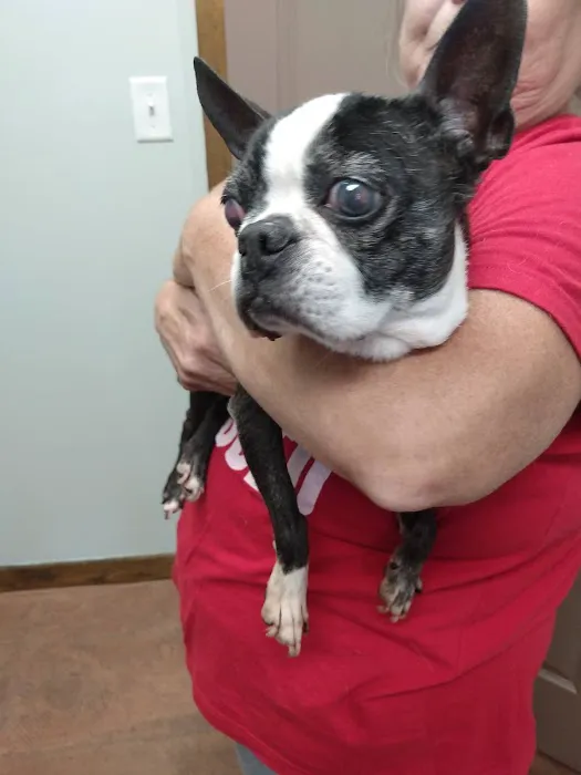 Plantation Veterinary Clinic 2