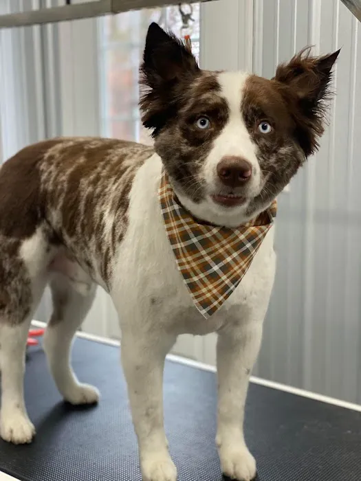 Mill Creek Veterinary Center 12
