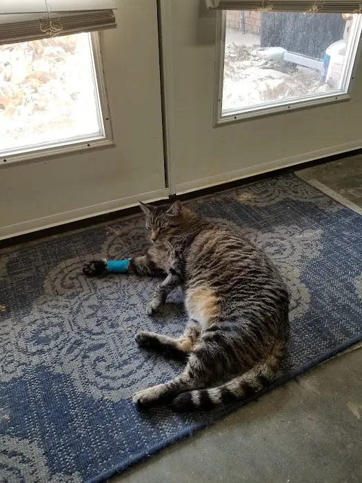 Mill Creek Veterinary Center 12