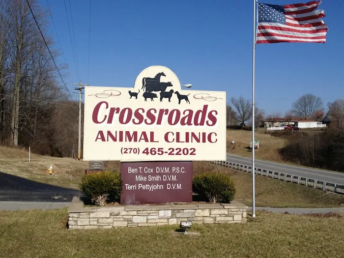 Crossroads Animal Clinic 12