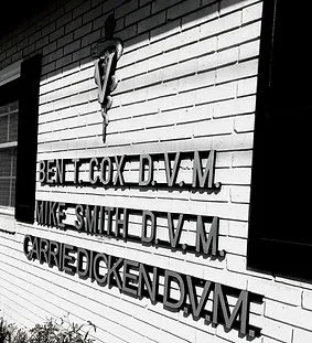 Crossroads Animal Clinic 12