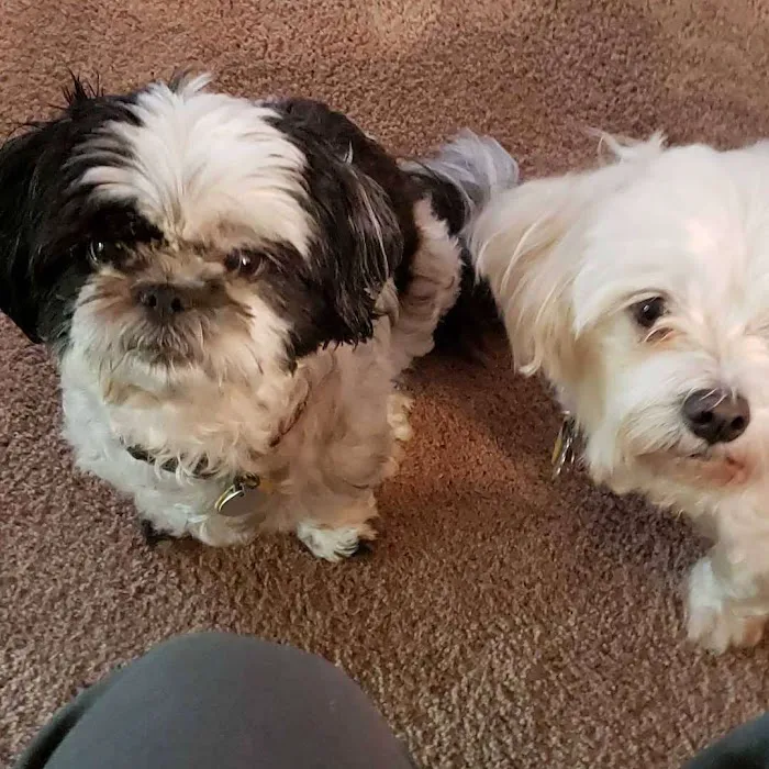Pet Calls Wellness Clinic 2