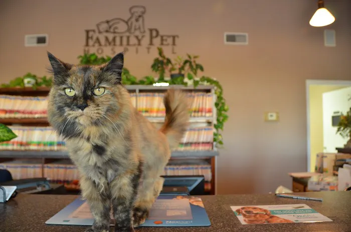 Family Pet Hospital 4