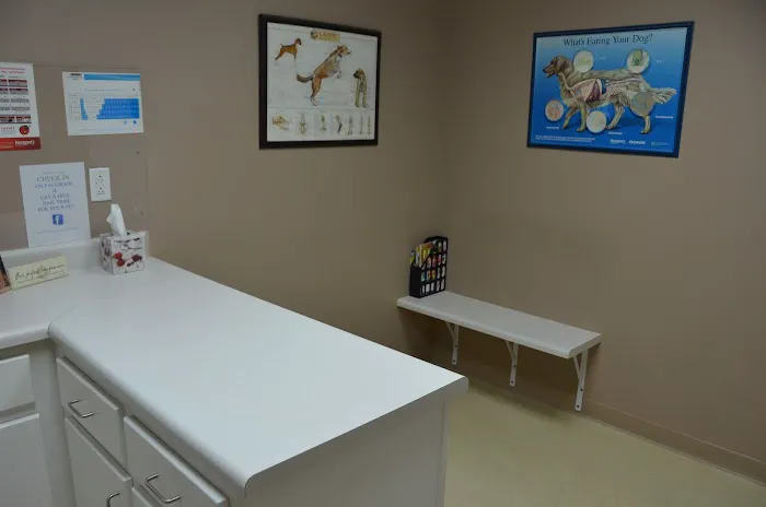 Family Pet Hospital 2