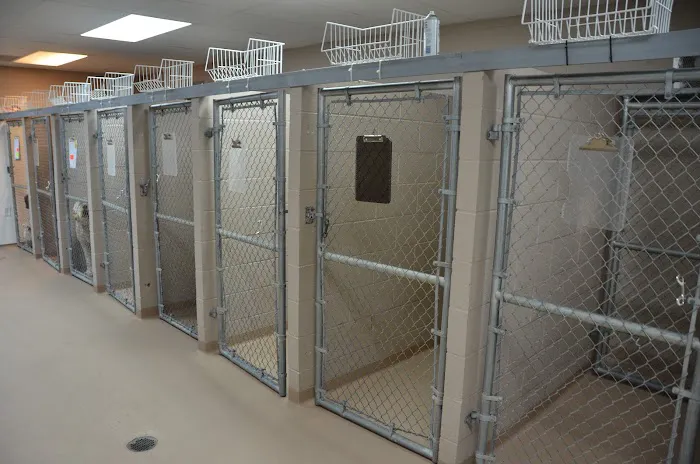 Family Pet Hospital 6