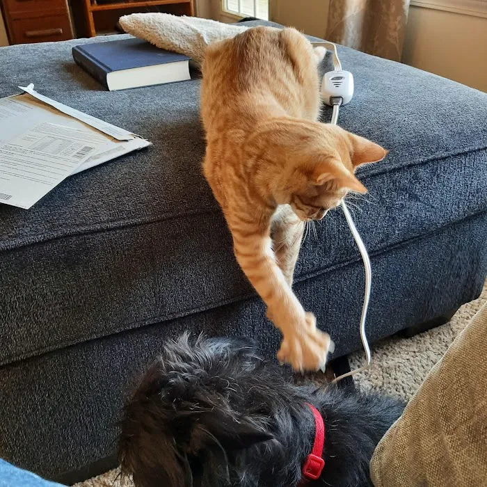 Family Pet Hospital 10