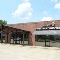 Sango Veterinary Hospital ico