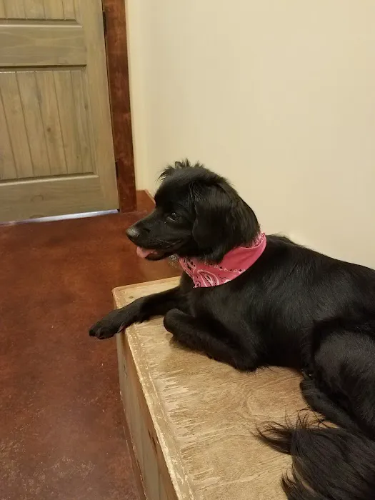 Sango Veterinary Hospital 8