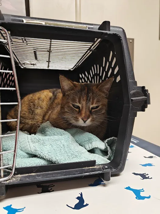Eastview Veterinary Clinic 9