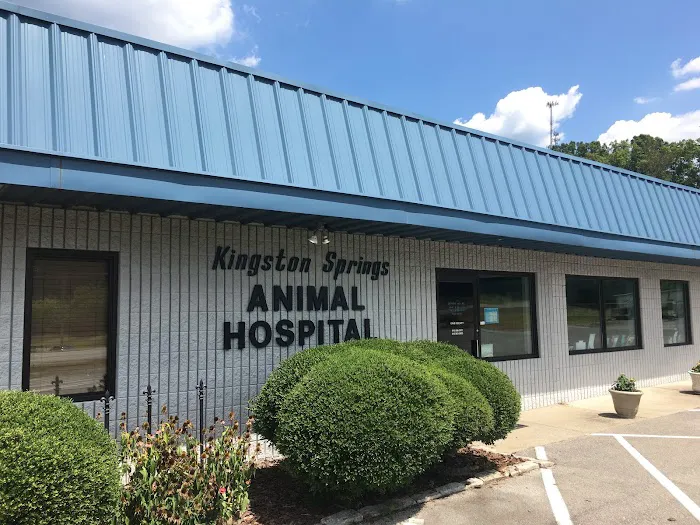Kingston Springs Animal Hospital 10