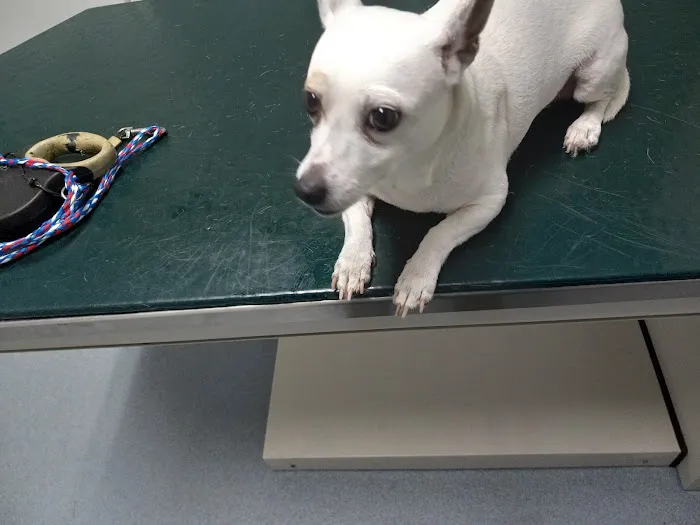 Kingston Springs Animal Hospital 3
