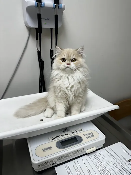 White Bluff Animal Clinic 2