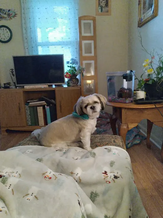 White Bluff Animal Clinic 3