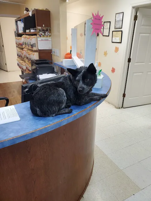 White Bluff Animal Clinic 10