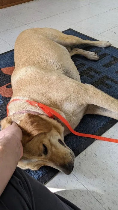 White Bluff Animal Clinic 1
