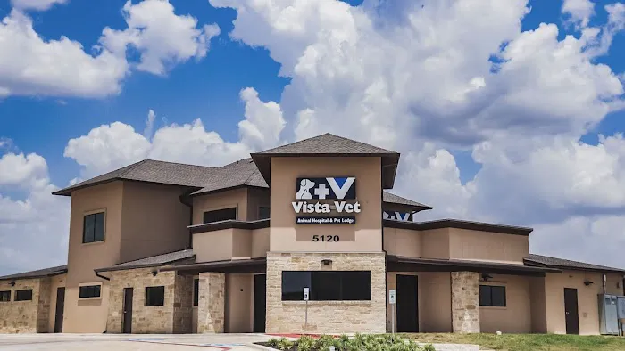 Vista Vet - Animal Hospital & Pet Lodge 6