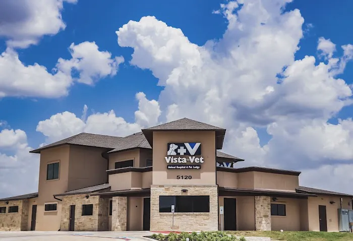 Vista Vet - Animal Hospital & Pet Lodge 10