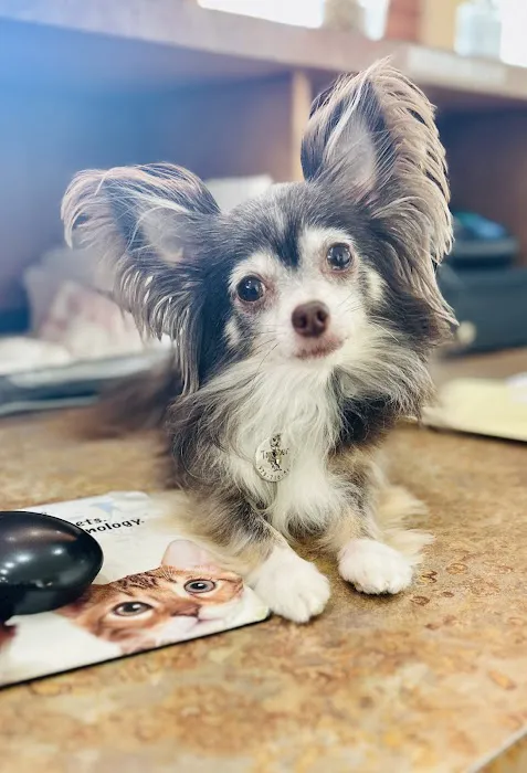 PetSmart Veterinary Services - North Round Rock 3