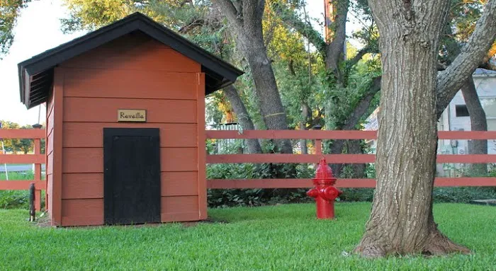 Brushy Creek Veterinary Clinic 4