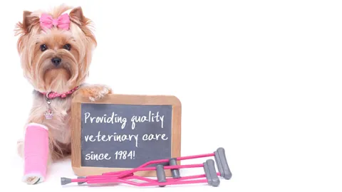 Brushy Creek Veterinary Clinic 9