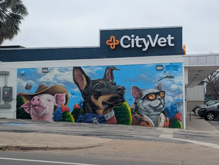 CityVet | Central Austin 12