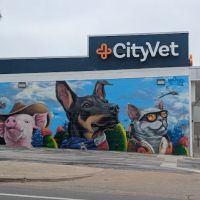 CityVet | Central Austin ico