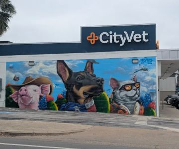 CityVet | Central Austin