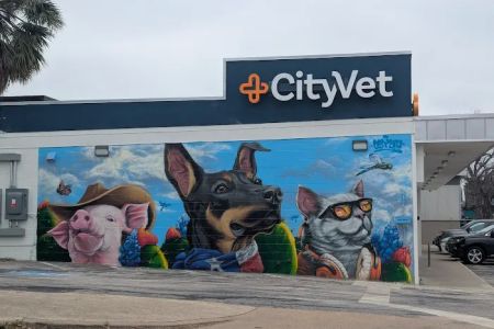 CityVet | Central Austin