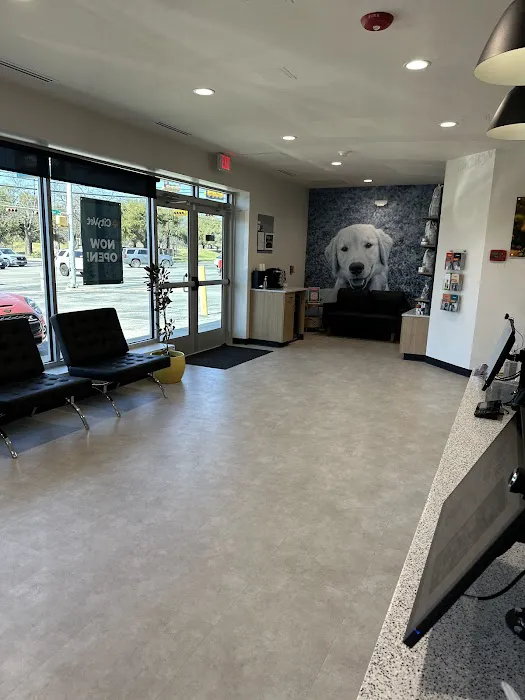 CityVet | Central Austin 12