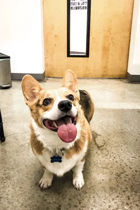 PAZ Veterinary South 1