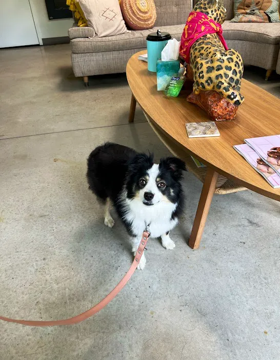 PAZ Veterinary South 8